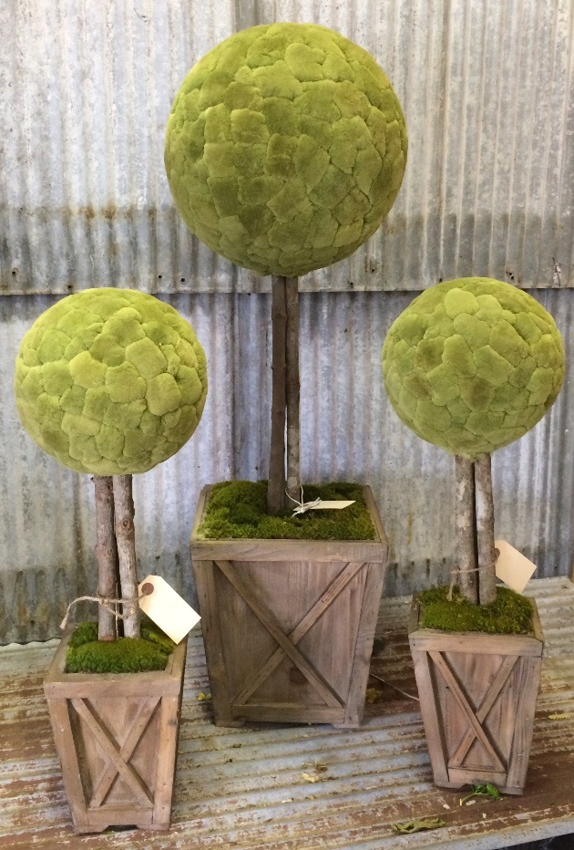 Preserved Cattail Ball Topiary Large
